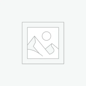 Fluid Acrylic Sculpture